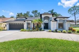 5610 Pine Bay Dr, TAMPA