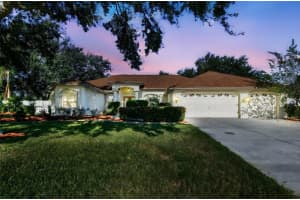 1333 Alana Ct, LUTZ