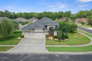 27211 Hawks Nest Cir, WESLEY CHAPEL