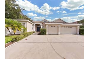 18177 Heron Walk Dr, TAMPA