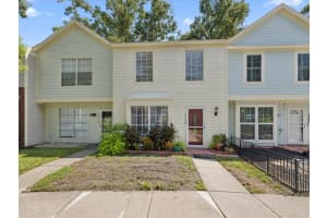 1728 Mill Run Cir, TAMPA