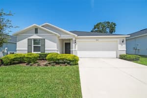 9932 Mesic Woods Ave, SEFFNER