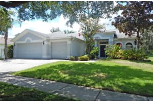 14832 Heronglen Dr, LITHIA