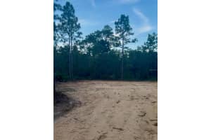 13358 Potomac Ave, BROOKSVILLE