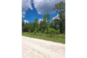 14020 Cedarwood Ave, WEEKI WACHEE