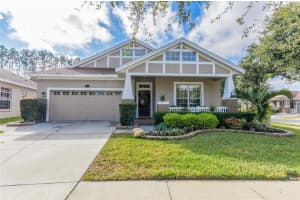 5034 Torrey Hills Ln, LUTZ