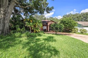 16502 Cayman Dr, TAMPA