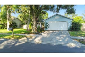 314 Overstreet Ct, PALM HARBOR