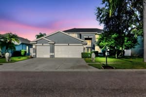 1725 Pink Guara Ct, TRINITY