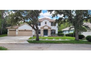 4802 Tea Rose Ct, LUTZ