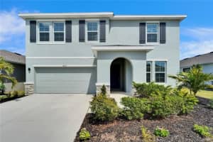 16631 Mooner Plank Cir Cir, WIMAUMA