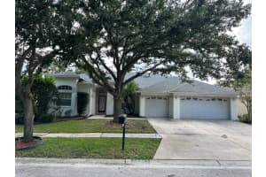 19211 Dove Creek Dr, TAMPA