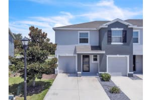 8763 Falling Blue Pl, RIVERVIEW 8763 Falling Blue Pl, RIVERVIEW