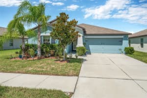 10429 Carloway Hills Dr, WIMAUMA