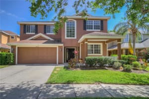 20513 Sultana Ct, TAMPA