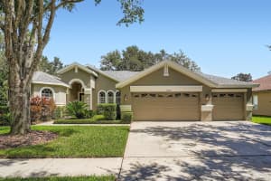15206 Merlinpark Pl, LITHIA