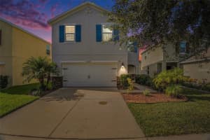 10525 Whispering Hammock Dr, RIVERVIEW