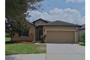 12216 Creek Preserve Dr, RIVERVIEW
