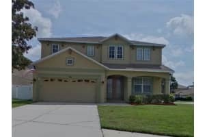 9032 Lost Mill Dr, LAND O LAKES