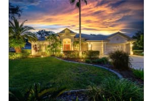 17890 Arbor Greene Dr, TAMPA