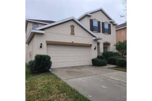 20205 Autumn Fern Ave, TAMPA