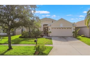 11317 Cypress Reserve Dr, TAMPA