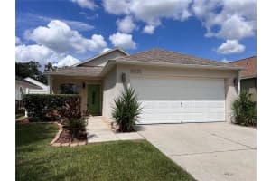 30225 Double Dr, WESLEY CHAPEL