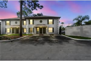 5238 Sunridge Palms Dr, TAMPA