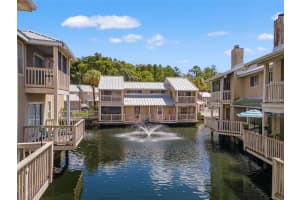 3416 Cypress Head Ct, TAMPA