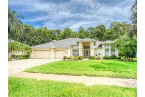 4125 Kirkaldy Dr, PALM HARBOR