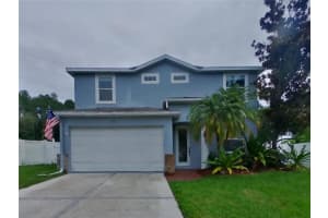 8808 Bayaud Dr, TAMPA