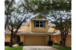 9084 Iron Oak Ave, TAMPA