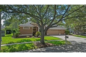 5519 Reflections Blvd, LUTZ