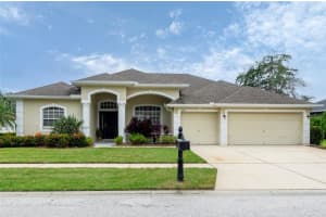 14712 Coral Berry Dr, TAMPA