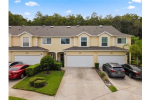 3452 Primrose Way, PALM HARBOR