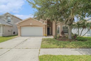 31050 Chatterly Dr, WESLEY CHAPEL