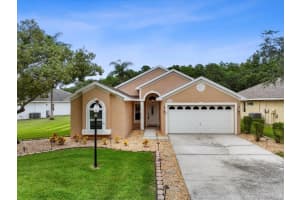 317 Tavernier Dr, OLDSMAR 317 Tavernier Dr, OLDSMAR