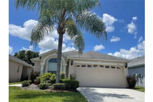6117 Gentle Ben Cir, WESLEY CHAPEL