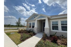 6218 Wandering Willow Dr, WESLEY CHAPEL