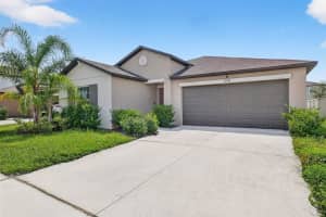 31742 Sun Kettle Loop, WESLEY CHAPEL