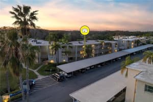 960 Virginia St #107, DUNEDIN