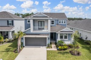 33508 Mainstay Ln, WESLEY CHAPEL