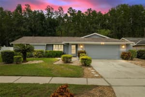 5330 Black Pine Dr, TAMPA