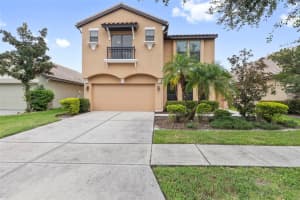 20331 Heritage Point Dr, TAMPA