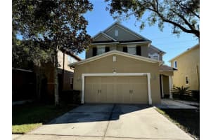 31734 Spoonflower Cir, WESLEY CHAPEL