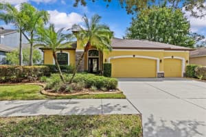 11008 Wembley Landing Dr, LITHIA