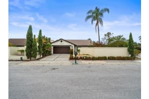 13512 Sobrado Dr, TAMPA