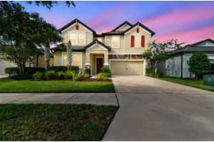 6501 Dutton Dr, WESLEY CHAPEL
