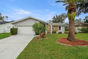 4103 N Bay Hills Blvd, SAFETY HARBOR 4103 N Bay Hills Blvd, SAFETY HARBOR