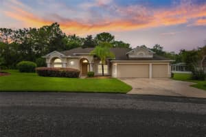 3 Oxhorn Ct E, HOMOSASSA